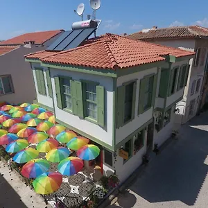 Flora , Ayvalı Türkiye